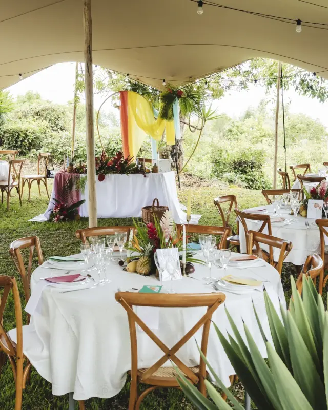 Réception de mariage dressée dans le jardin
